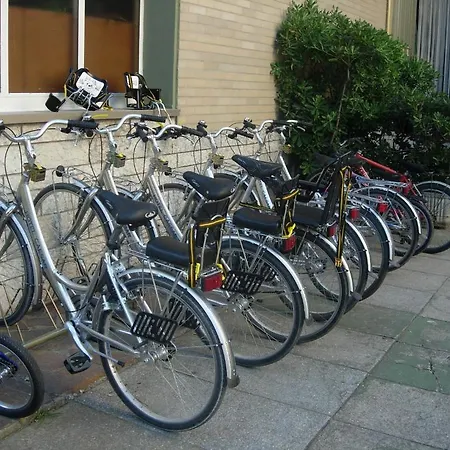 凯撒酒店 酒店 3*