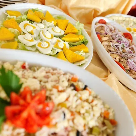 酒店 凯撒酒店 丽都迪萨维奥