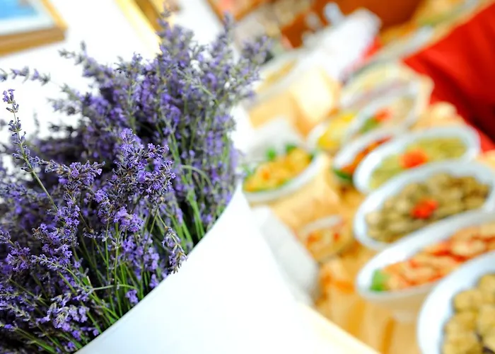 فندق سيزار 3*