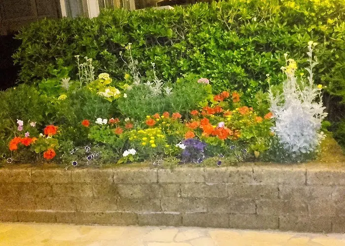 فندق سيزار 3*